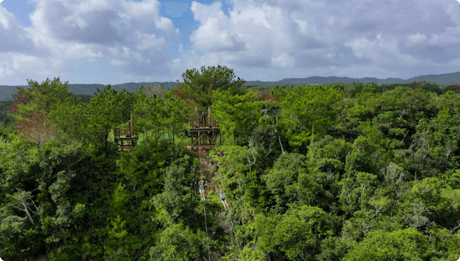 やんばるジップライン